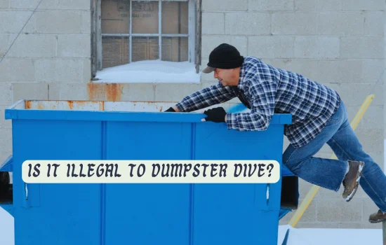 Is It Illegal to Dumpster Dive in North Carolina